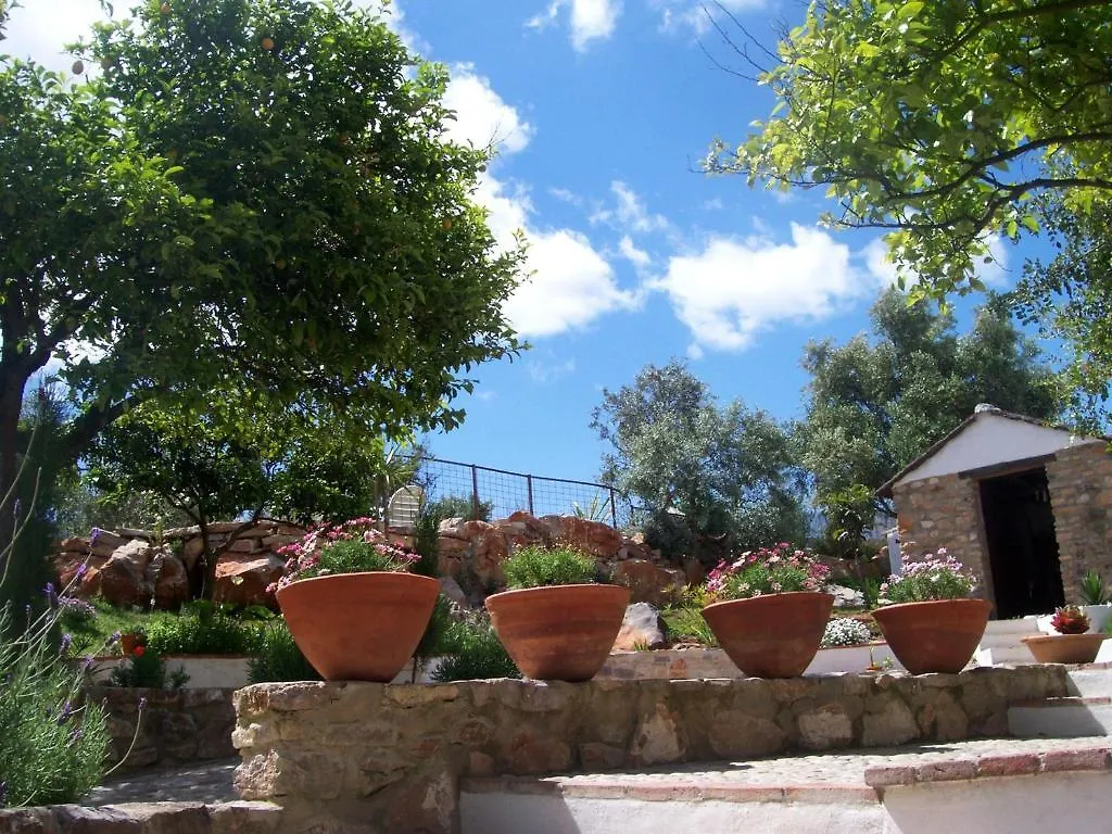 Casa De Abajo Villa Prado Del Rey Spain